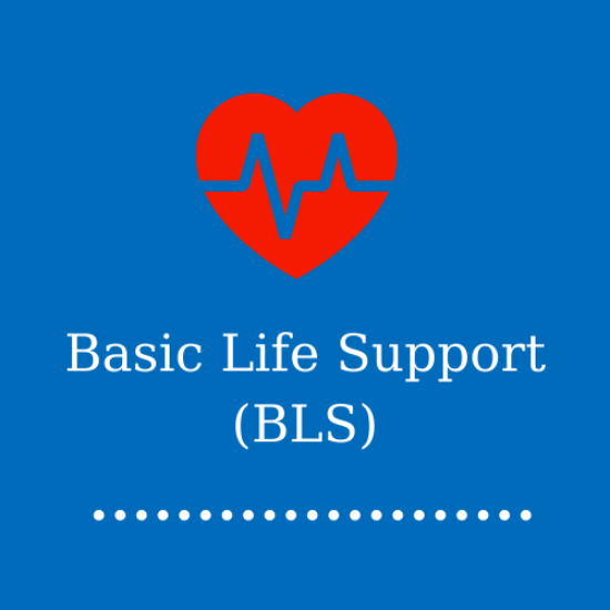 Picture of Basic Life Support (BLS) - B Class